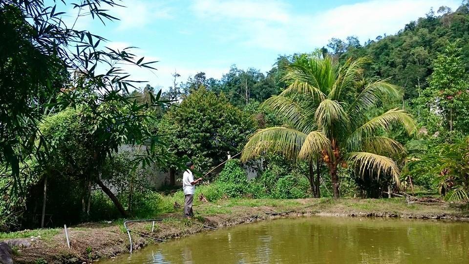 Lopoh Waterfront Budget Chalets Villa Hulu Langat Eksteriør bilde